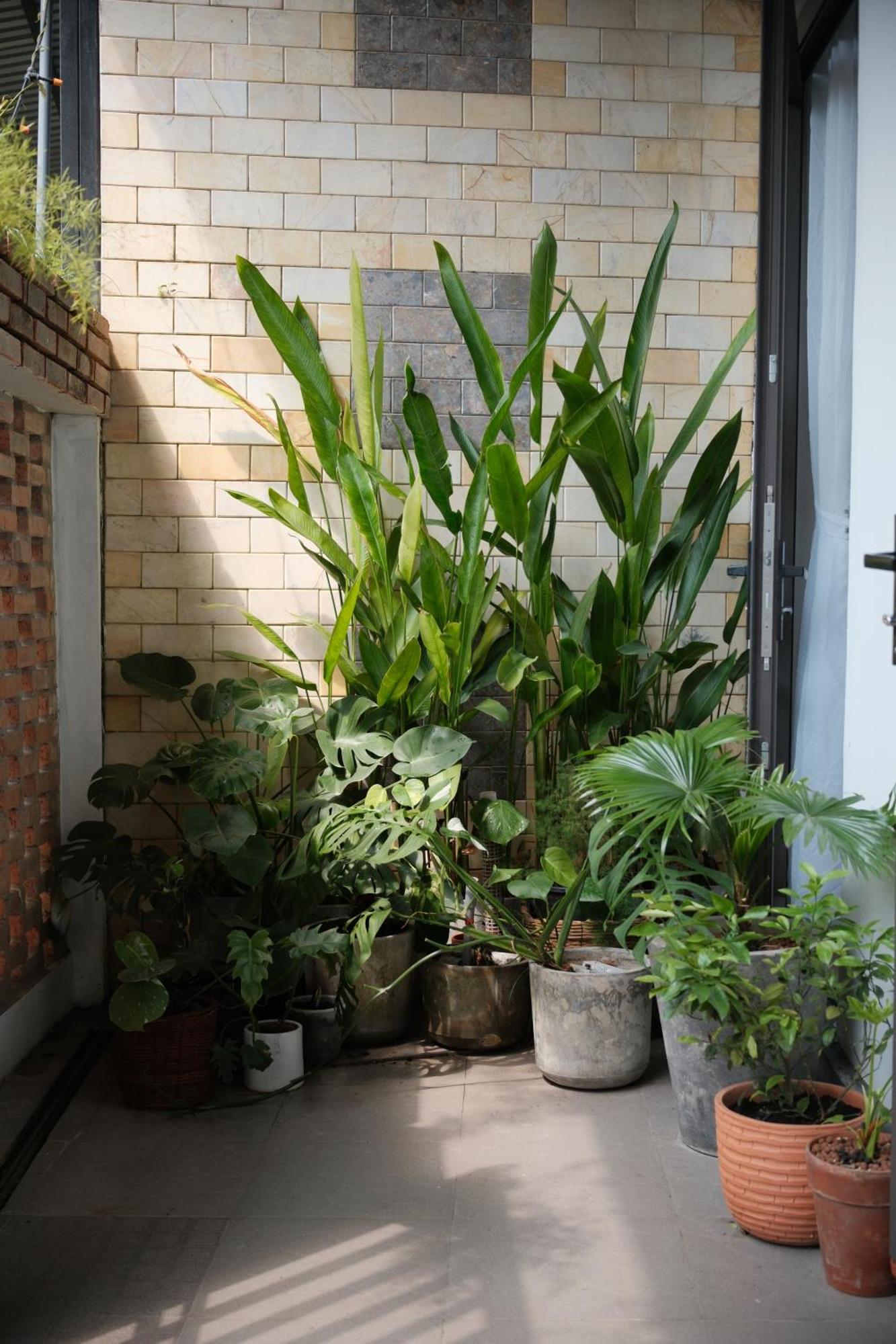 Glory Hue Homestay Exterior foto