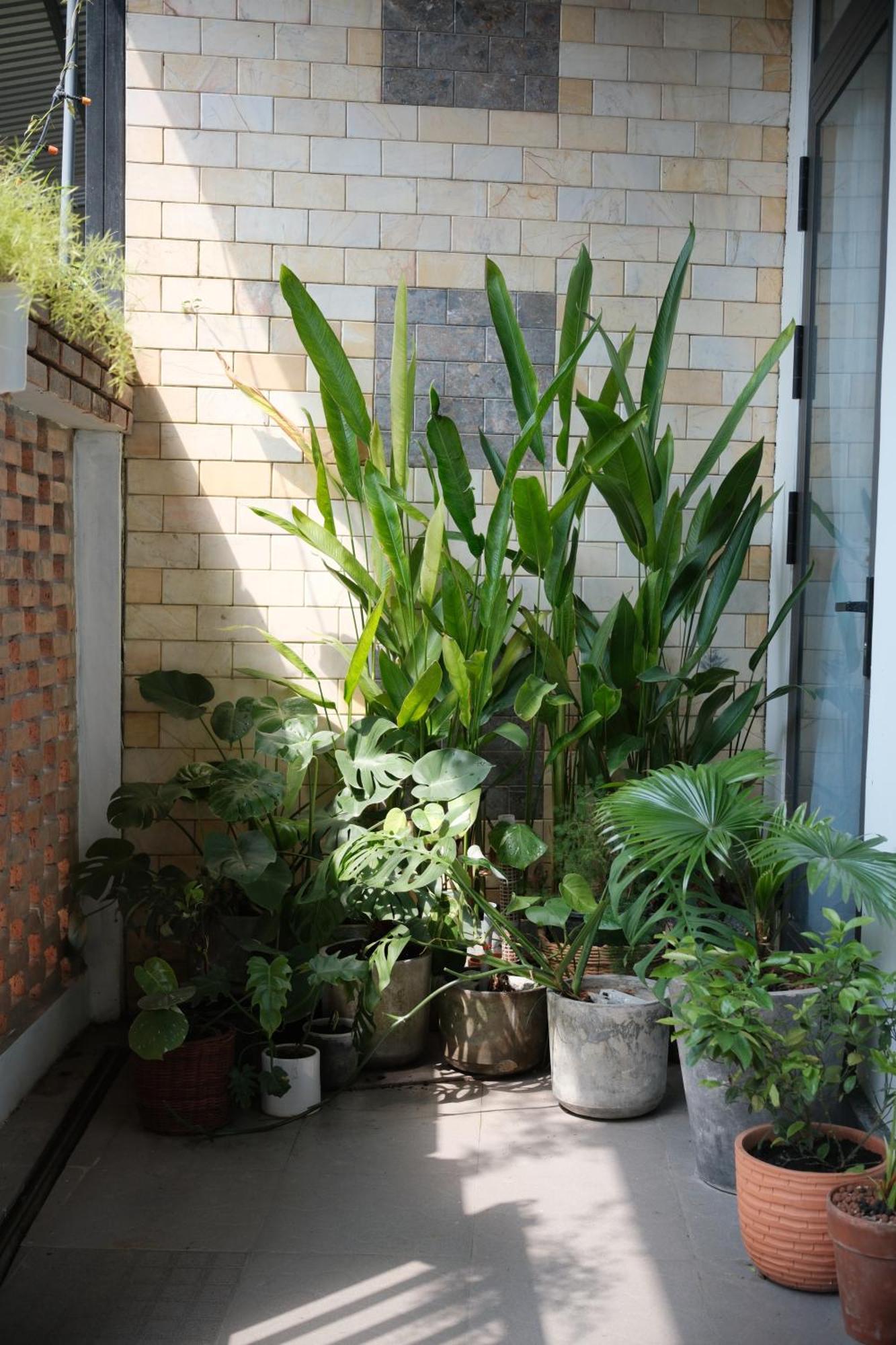Glory Hue Homestay Exterior foto